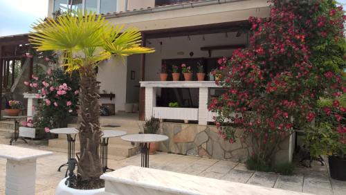 Asprovalta Villa | Cavo Paradiso Villa