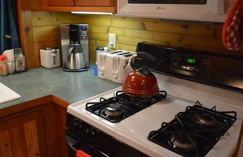 Ashford Cabin | Cedar cabin at Mt Rainier is custom built with queen bedroom and Murphy bed in the living room. Full kitchen. Spacious front porch with picnic tables and BBQ. Perfect for romance or bring the kids. Private hot tub in woodland setting. Walk to Copper