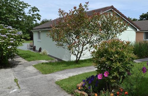 Holsworthy House | Cedar