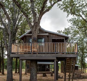 Elm Mott Other | Cedar Waxwing Treehouse15 MIN to MagnoliaBaylor