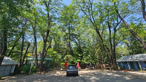 Dunsmuir Hotel | cedarlodge motel dunsmuir ca