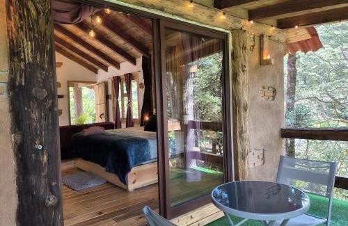 Mineral del Chico Other | cedro