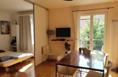 Hoengg Apartment | Central quiet and cosy apartment near Hallenstadion