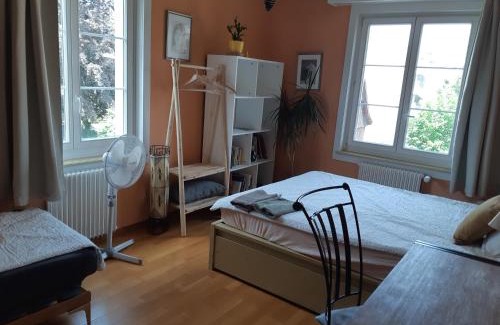 Hoengg Apartment | Central quiet and cosy apartment near Hallenstadion