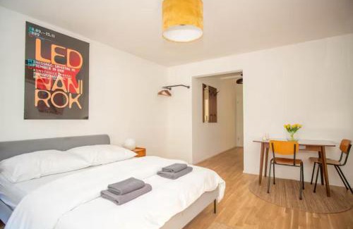 Basel Apartment | Central Studio Apartment with free BaselCard - Magritte