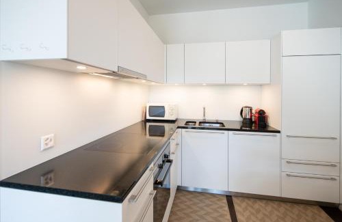 Davos-Platz Apartment | Centralhof B25 P