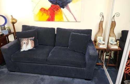 North of the Panhandle House | Centrally located; Walk anywhere!