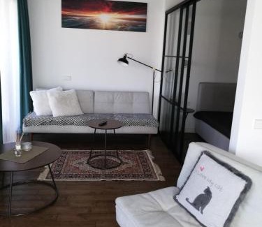 Birstonas Apartment | Centro apartamentai