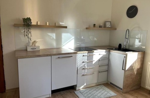 Frydlant nad Ostravici Apartment | Centrum FnO