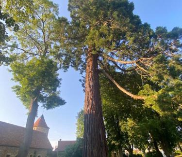Bouesse House | Château de Bouesse en Berry