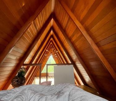 Alfredo Wagner Ski Chalet | Chalé 4 Estações