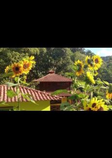 Nucleo Maua Apartment | Chalé brilho d'água