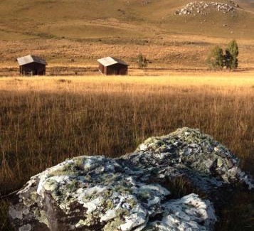 Sao Jose dos Ausentes House | Chalé Campos Da Serra
