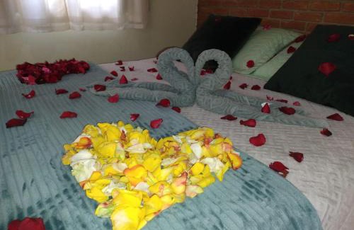 Visconde de Maua Cabin | Chalé dois irmãos