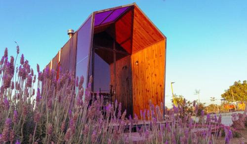 Morro Do Chapeu Ski Chalet | Chalé Roma Negra na Vinícola Reconvexo