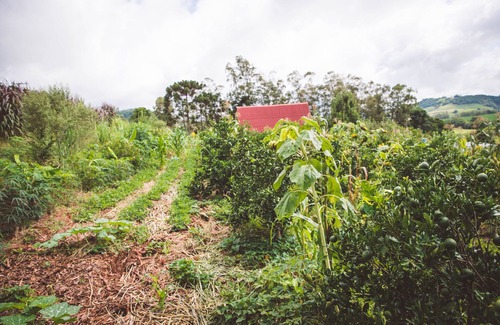 Dionisio Cerqueira Ski Chalet | Chalé Toca das Sementes