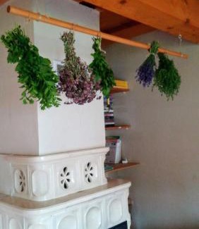 Bziny House | Chalúpka u Fulov