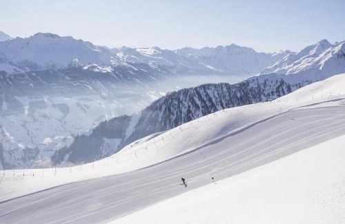 Schonbach Ski Chalet | Chalet in Neukirchen by Wildkogel Ski Slopes
