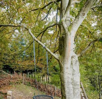 Zella-Mehlis House | Chalet At Ruppberg With Sauna And Mountain View
