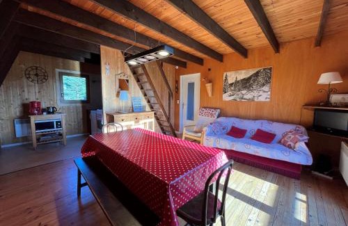 Lans-en-Vercors Ski Chalet | Chalet atypique plein de charme avec garage et balcon, idéal pour familles - FR-1-761-33