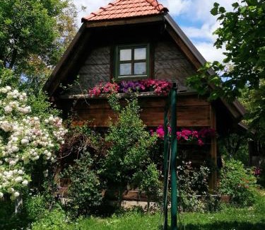 Uzice Ski Chalet | Chalet Belino sokače