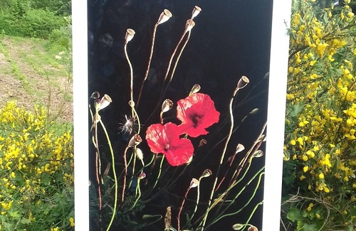 Xonrupt-Longemer Ski Chalet | Chalet "cosy" 6 Personnes, Situation Exceptionnelle Face au Hohneck