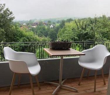 Uehlingen-Birkendorf Apartment | Chalet