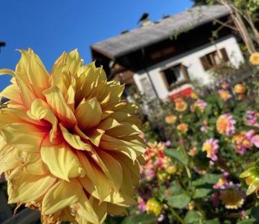 Dorfgastein House | Chalet Franzi - gleich an der Piste im Gasteinertal