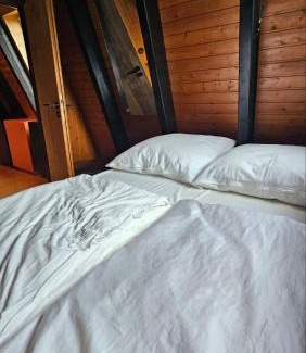 Blankenheim Apartment | Chalet in Freilingen Blankenheim mit Seenähe mitten in der Natur
