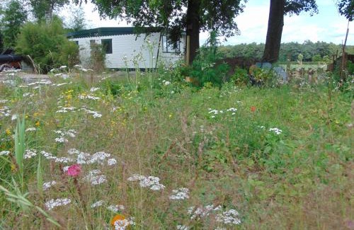 Zelhem Bed & Breakfast | Chalet "In Toto"