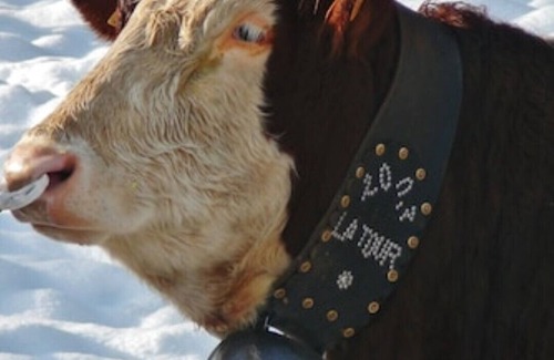 La Riviere-Enverse Ski Chalet | Chalet Le Cochon Noir sleeps 8 self catered big mountain view + logburner FABn