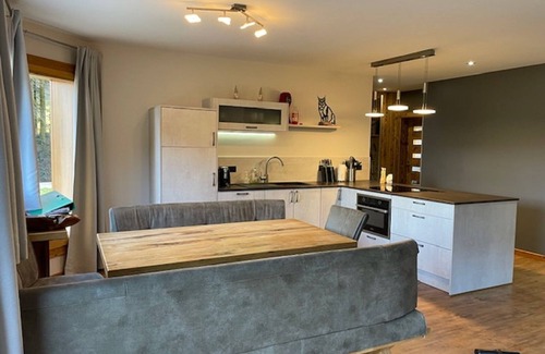 Ferdrupt Ski Chalet | Chalet Le Lynx