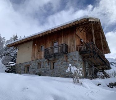 Villard-Reculas Ski Chalet | Chalet Les Ecrins