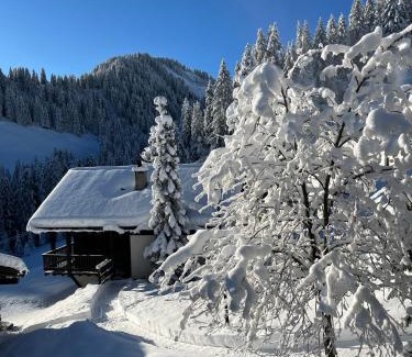 Champoussin Apartment | Chalet LYS Apartment 14 Rue Sigma