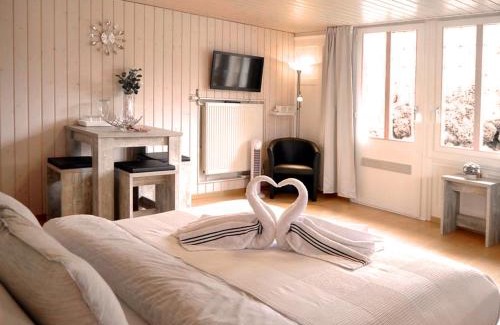 Central Interlaken Apartment | Chalet Maria Interlaken