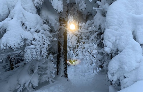 Sutton House | Chalet Rustique/chic à 1 min du Mont Sutton