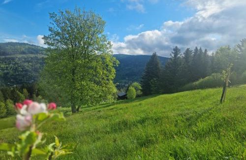 Ventron House | Chalet Terejo & spa