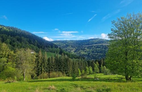 Ventron House | Chalet Terejo & spa