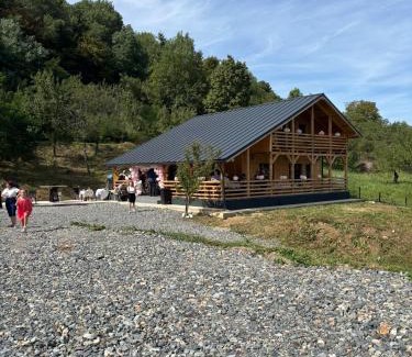 Savadisla Cabin | Chalet Valisoara Cluj