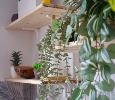 Perinet Apartment | Chaleureux studio proche plage