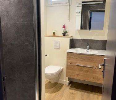 Albertville Apartment | Chaleureux T4,Netflix, petit déjeuner offert, boisson rafraîchissante pour la bienvenue, repas du soir fondue, raclette sur demande possibilité de le réserver à la semaine, contactez-nous en privé