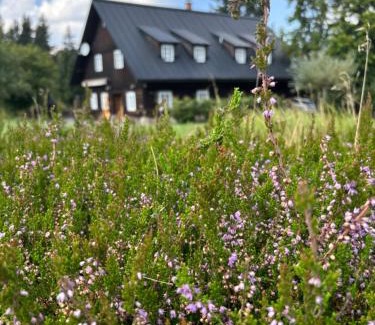 Destne v Orlickych horach Apartment | Chalupa Luisko