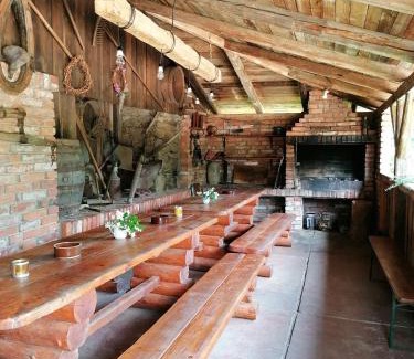 Vichova nad Jizerou House | Chalupa Dana