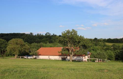 Zemiansky Vrbovok House | Chalupa -Ranč pod Žobrákom