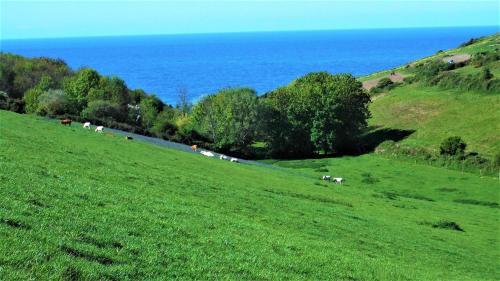 Les Loges Bed & Breakfast | Chambre d'Hôtes Etretat