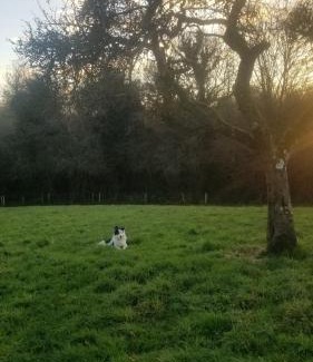 Saint-Brigitte Bed & Breakfast | Chambre d'hôtes Morbihan Gwenva