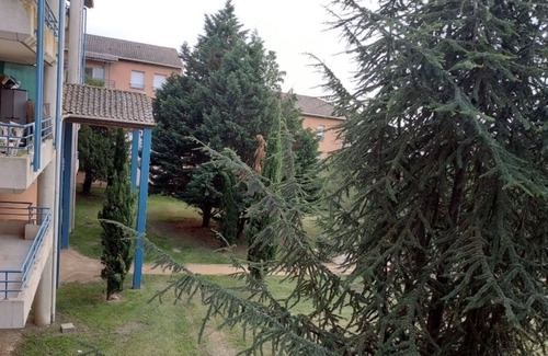 Lafourguette Apartment | 🛌chambre privée dans quartier calme