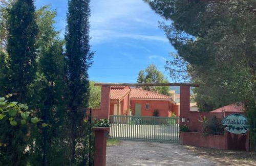Saint-Andre Bed & Breakfast | Chambres d'hôtes l'Olivette des Albères