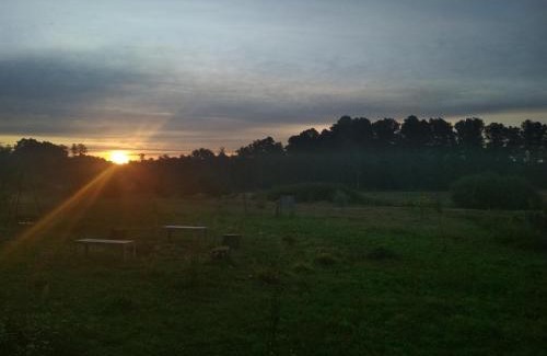 Brochow Bed & Breakfast | Chamedafne w Puszczy Kampinoskiej