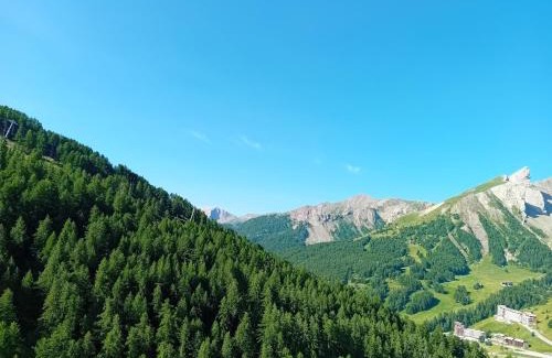 Allos Apartment | chamois tétras marmotte